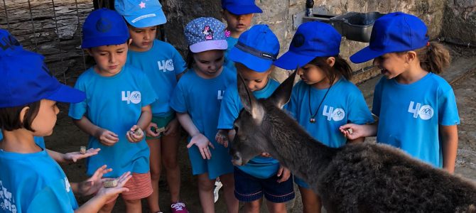 Prebenjamines en Ecociudadela